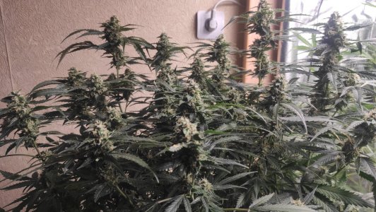 2023-07-04-19-00-37-198.jpg 2023-07-04-19-00-37-198.jpg