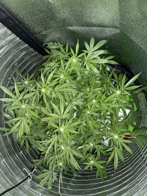 716E7674-1490-47E5-B8D2-A38ADA5FA2B7.jpeg 716E7674-1490-47E5-B8D2-A38ADA5FA2B7.jpeg