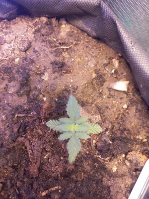 20230706_063005.jpg 20230706_063005.jpg