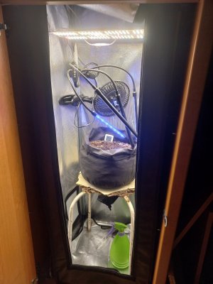 20230625_075951.jpg 20230625_075951.jpg