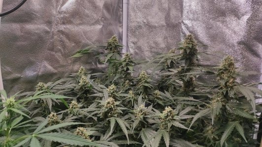 2023-07-06-16-22-08-274.jpg 2023-07-06-16-22-08-274.jpg