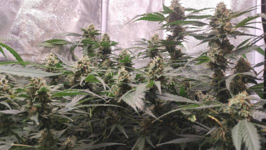 2023-07-06-16-22-04-650.jpg 2023-07-06-16-22-04-650.jpg