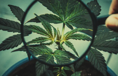 1688646221157.png 1688646221157.png