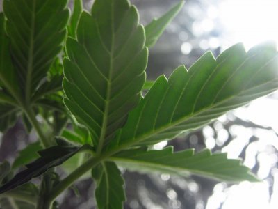 photo_2023-07-09_18-34-31 (4).jpg photo_2023-07-09_18-34-31 (4).jpg