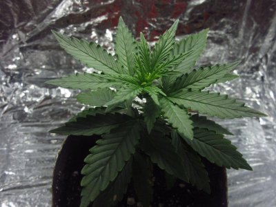 photo_2023-07-09_18-34-31.jpg photo_2023-07-09_18-34-31.jpg