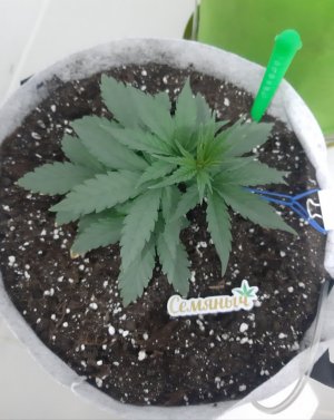 20230710_195532.jpg 20230710_195532.jpg