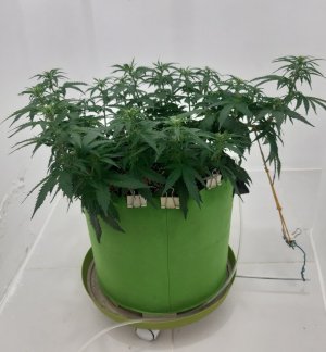 20230710_203151.jpg 20230710_203151.jpg