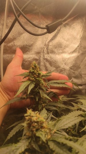 2023-07-11-00-02-04-553.jpg 2023-07-11-00-02-04-553.jpg