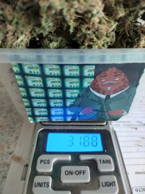 IMG_20230711_092505.jpg IMG_20230711_092505.jpg