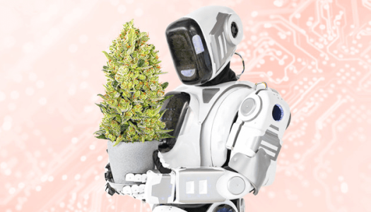 1638794144080.png 1638794144080.png