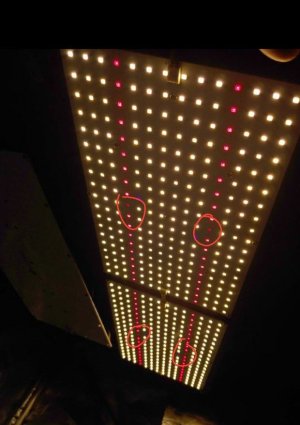 IMG_20211209_230027_211~2.jpg IMG_20211209_230027_211~2.jpg