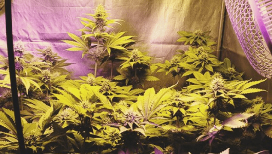 1639221404680.png 1639221404680.png