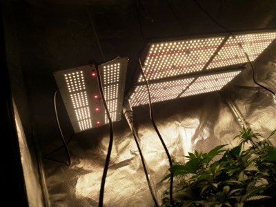 IMG_20211211_161142_372.jpg IMG_20211211_161142_372.jpg