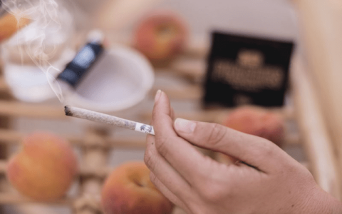 1640267419288.png 1640267419288.png