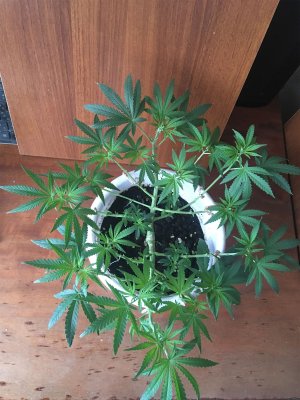 Без имени-1.jpg