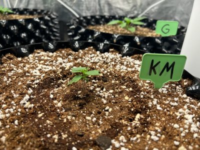 8B178CCC-F549-4EE4-BC62-A03E451C0BC1.jpeg 8B178CCC-F549-4EE4-BC62-A03E451C0BC1.jpeg