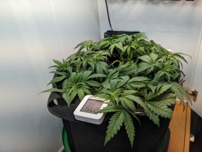 PXL_20230713_004950819.MP.jpg PXL_20230713_004950819.MP.jpg