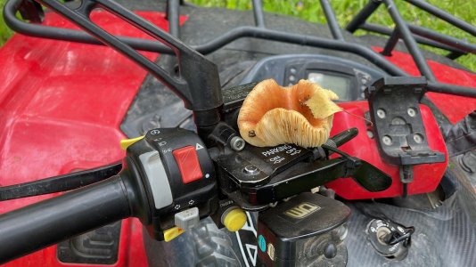 3E17D0C6-FF2D-47E1-80B3-B0B61C5D5083.jpeg 3E17D0C6-FF2D-47E1-80B3-B0B61C5D5083.jpeg