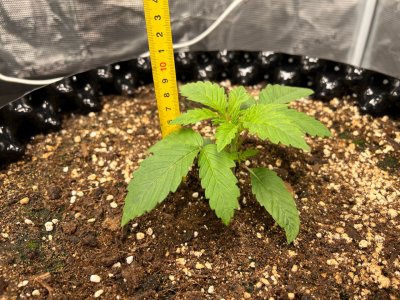 9C573158-763E-4FB0-8C37-A7016C758A17.jpeg 9C573158-763E-4FB0-8C37-A7016C758A17.jpeg