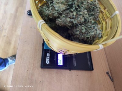 IMG_20230714_102830.jpg IMG_20230714_102830.jpg