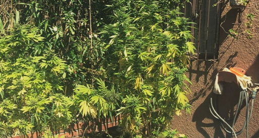 1689349939968.png 1689349939968.png