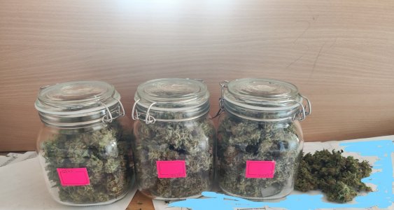 InkedIMG_20230714_135657.jpg InkedIMG_20230714_135657.jpg