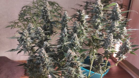 2023-07-16-12-30-12-667.jpg 2023-07-16-12-30-12-667.jpg