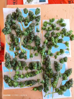 InkedIMG_20230717_105639.jpg InkedIMG_20230717_105639.jpg