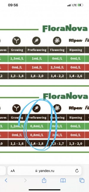 IMG_9008.jpeg IMG_9008.jpeg