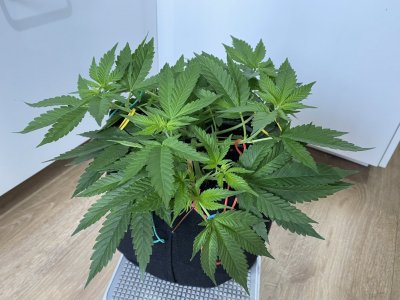 IMG_0986.jpeg IMG_0986.jpeg