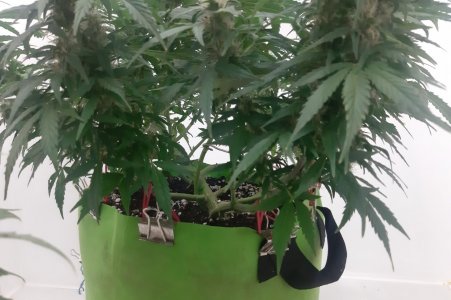 20230717_181907.jpg 20230717_181907.jpg