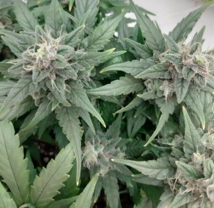 20230717_194834.jpg 20230717_194834.jpg