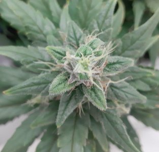 20230717_171931.jpg 20230717_171931.jpg