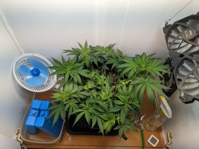 PXL_20230718_200646367.MP.jpg PXL_20230718_200646367.MP.jpg