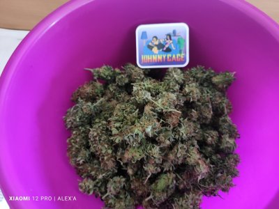 IMG_20230720_103640.jpg IMG_20230720_103640.jpg