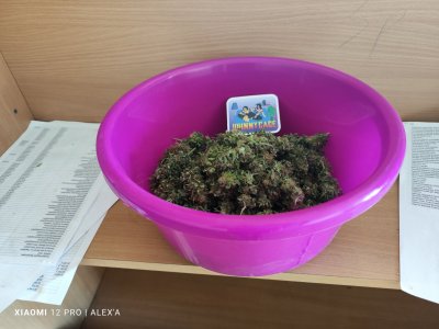 IMG_20230720_103635.jpg IMG_20230720_103635.jpg