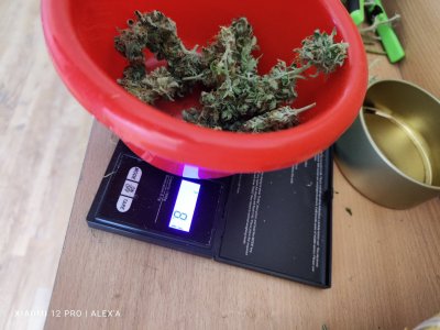 IMG_20230720_103525.jpg IMG_20230720_103525.jpg