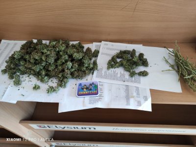 IMG_20230720_103322.jpg IMG_20230720_103322.jpg