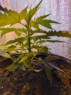 20230721_115242.jpg 20230721_115242.jpg