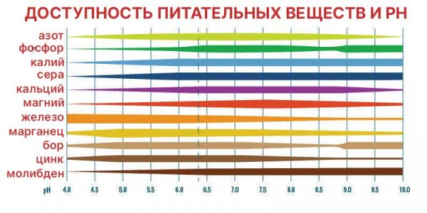 Cannabis-Nutrient-Availability_Ph-nutrients-01.jpg Cannabis-Nutrient-Availability_Ph-nutrients-01.jpg