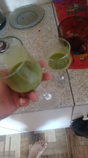 IMG_20230727_153604_847.jpg IMG_20230727_153604_847.jpg