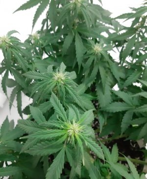 20230729_113735.jpg 20230729_113735.jpg