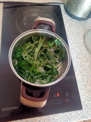 IMG20230727150803.jpg IMG20230727150803.jpg