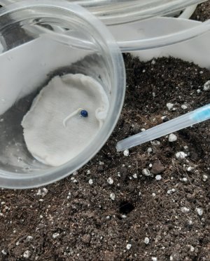 20230802_190959.jpg 20230802_190959.jpg