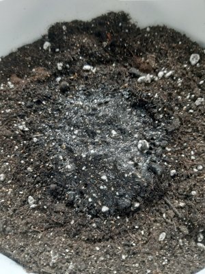 20230802_181323.jpg 20230802_181323.jpg