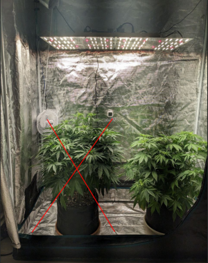 1691059890487.png 1691059890487.png