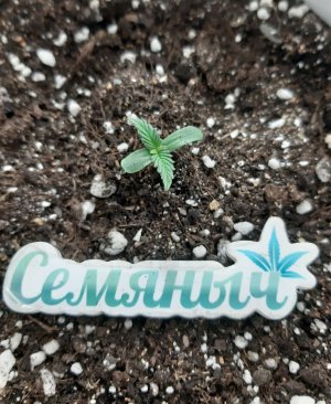 20230803_200626.jpg 20230803_200626.jpg