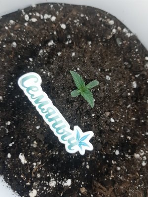 20230803_201916.jpg 20230803_201916.jpg