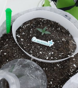 20230804_153136.jpg 20230804_153136.jpg