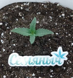 20230804_153117.jpg 20230804_153117.jpg